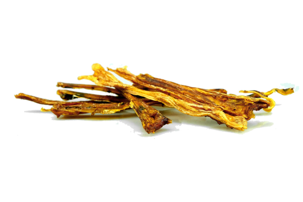 Pets Best - Pferde Sehnen