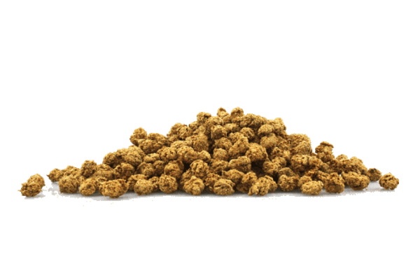 Pets Best - T-Snack Rind mit Colostrum