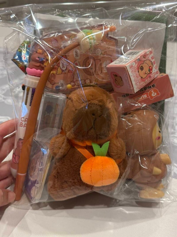 Capybara-themed gift set for elementary school students: