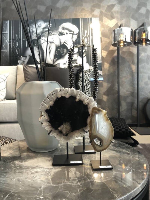 Ornament Versteend Hout