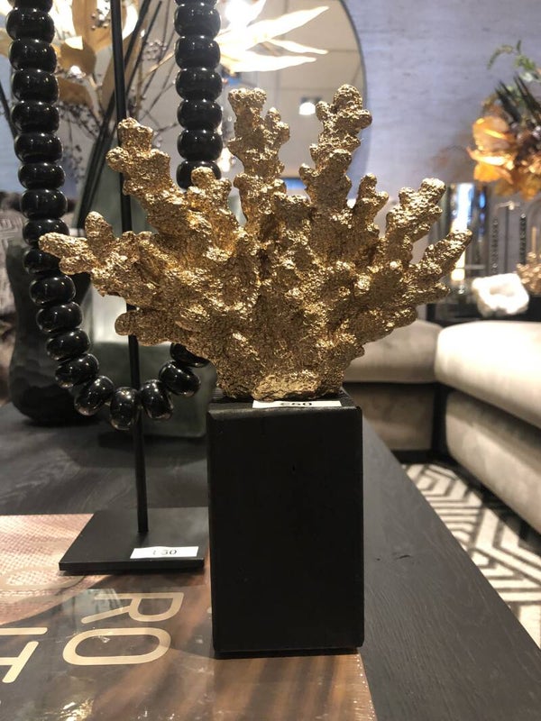 Koraal Goud
