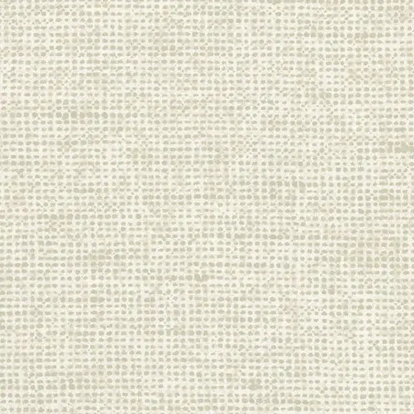 Arte Essentials | Les Nuances | Chanderi 91500