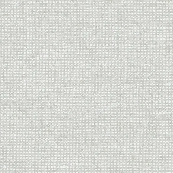 Arte Essentials | Les Nuances | Chanderi 91502