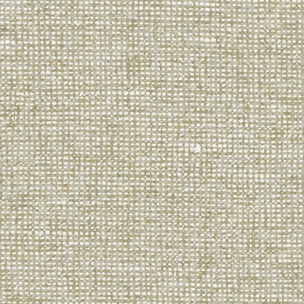 Arte Essentials | Les Nuances | Chanderi 91503