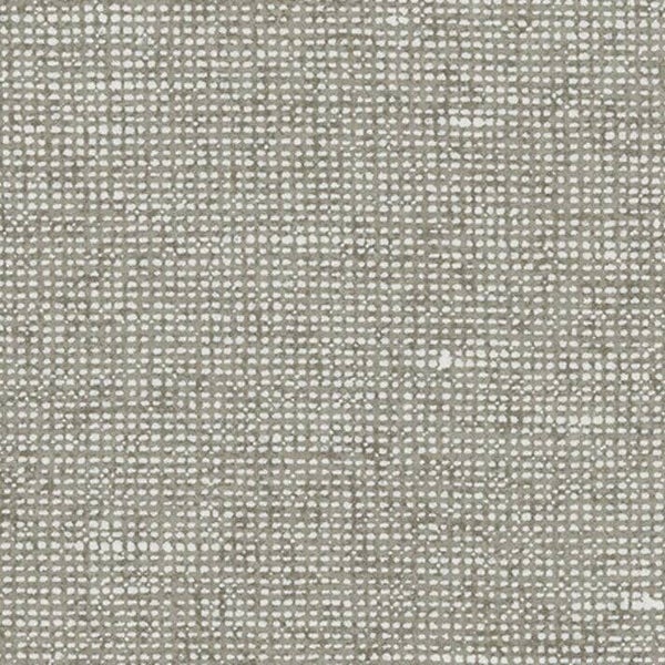 Arte Essentials | Les Nuances | Chanderi 91507