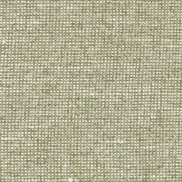 Arte Essentials | Palette | Chanderi 91511C