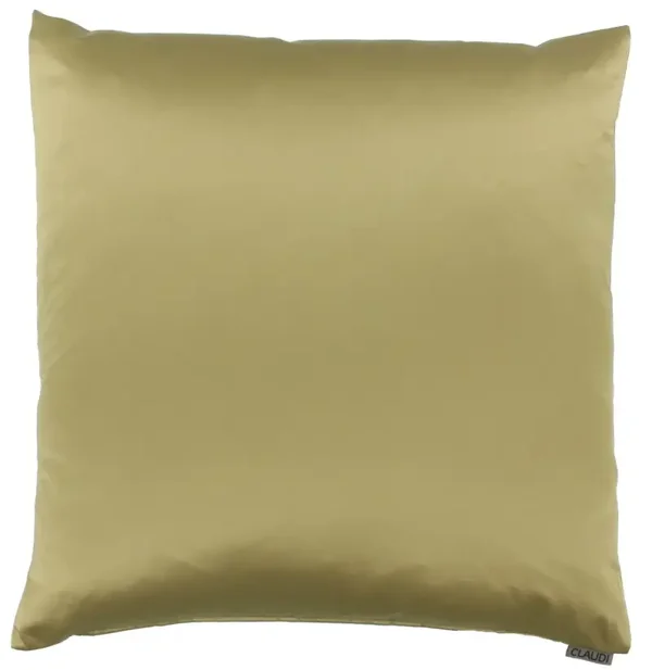Claudi kussen Dafne Gold 38