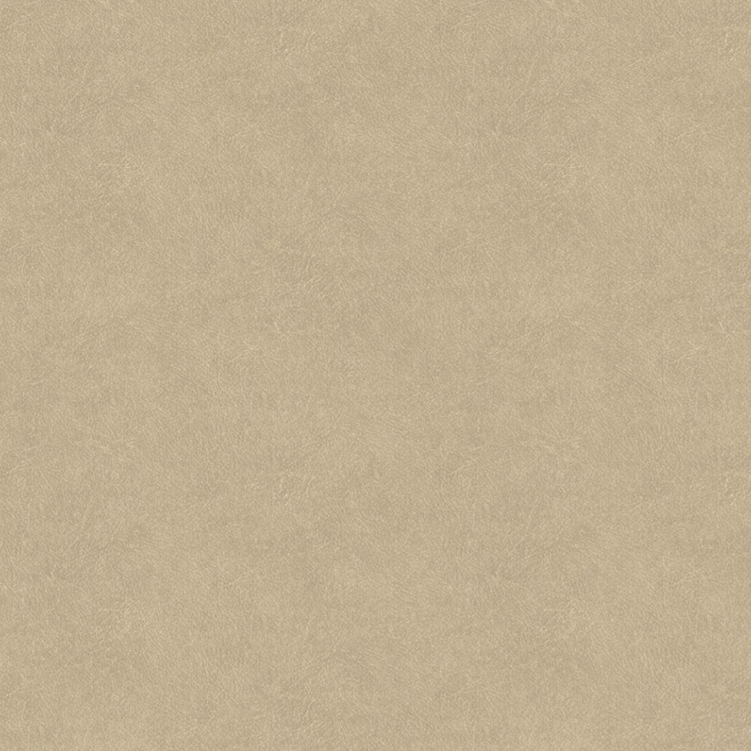 Hookedonwalls | Tahiti Leather Plain TA25021