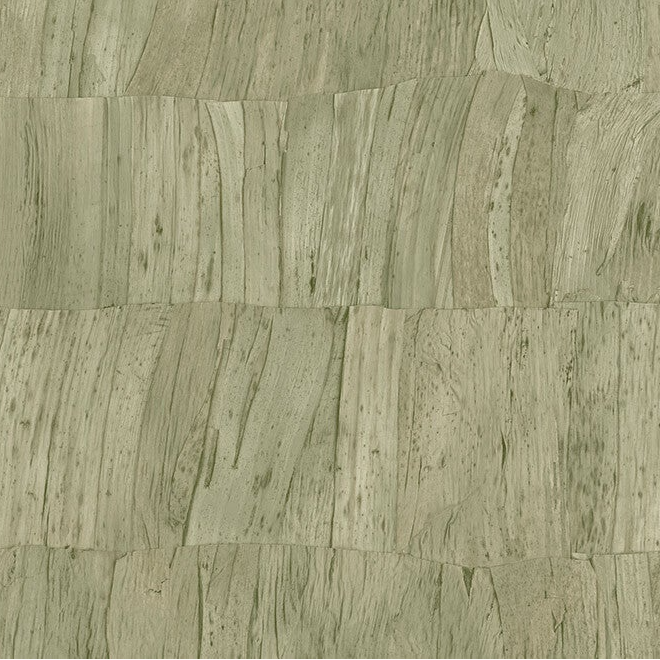 Arte Selva | Capas 34304