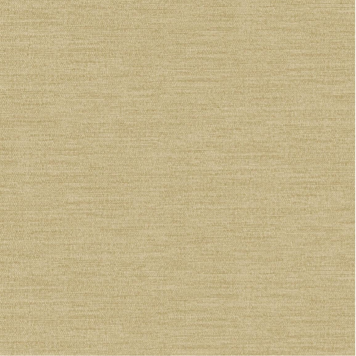 Hookedonwalls | Umami Enoki 30226