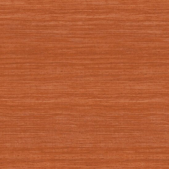 Arte Expedition | Tasar 72036