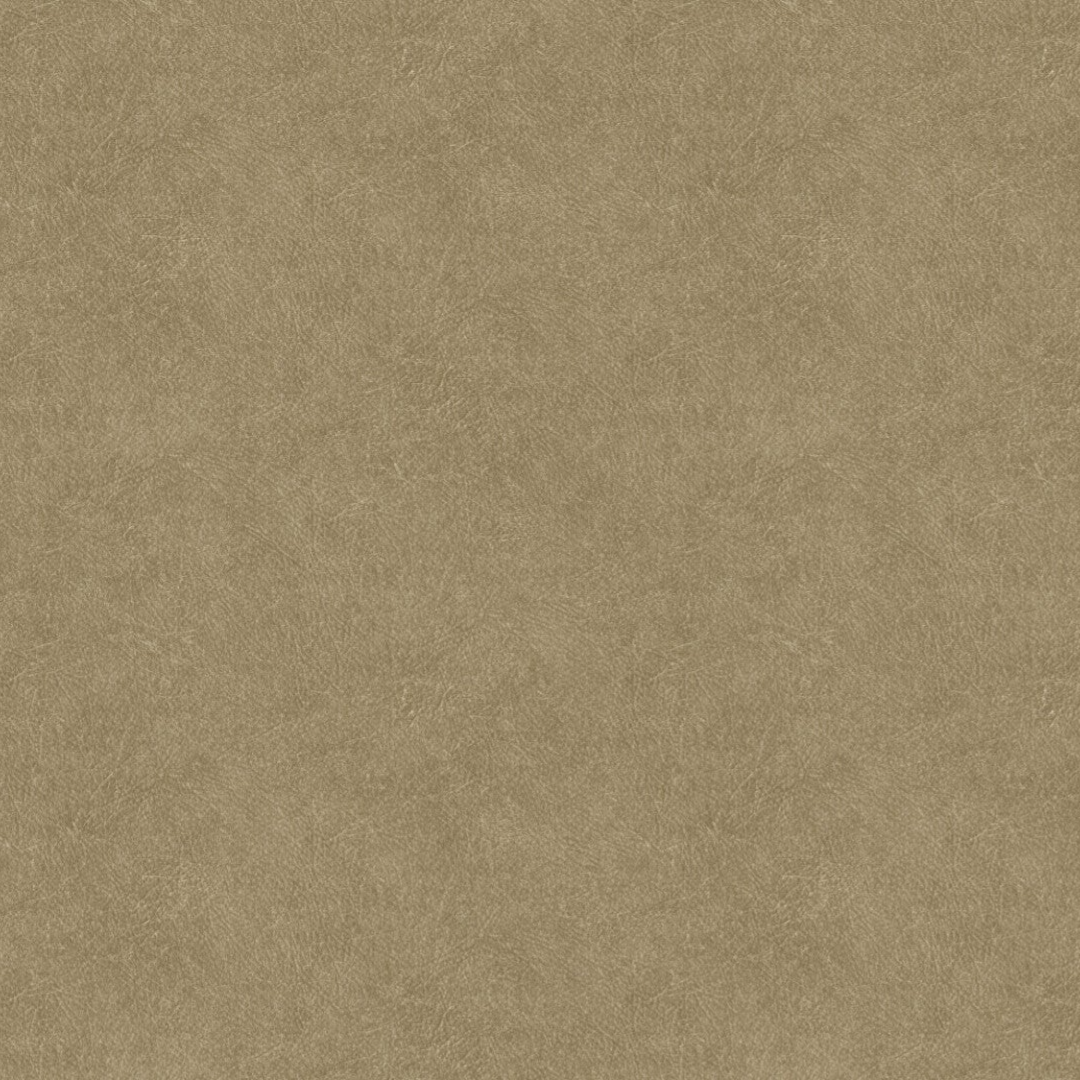 Hookedonwalls | Tahiti Leather Plain TA25022