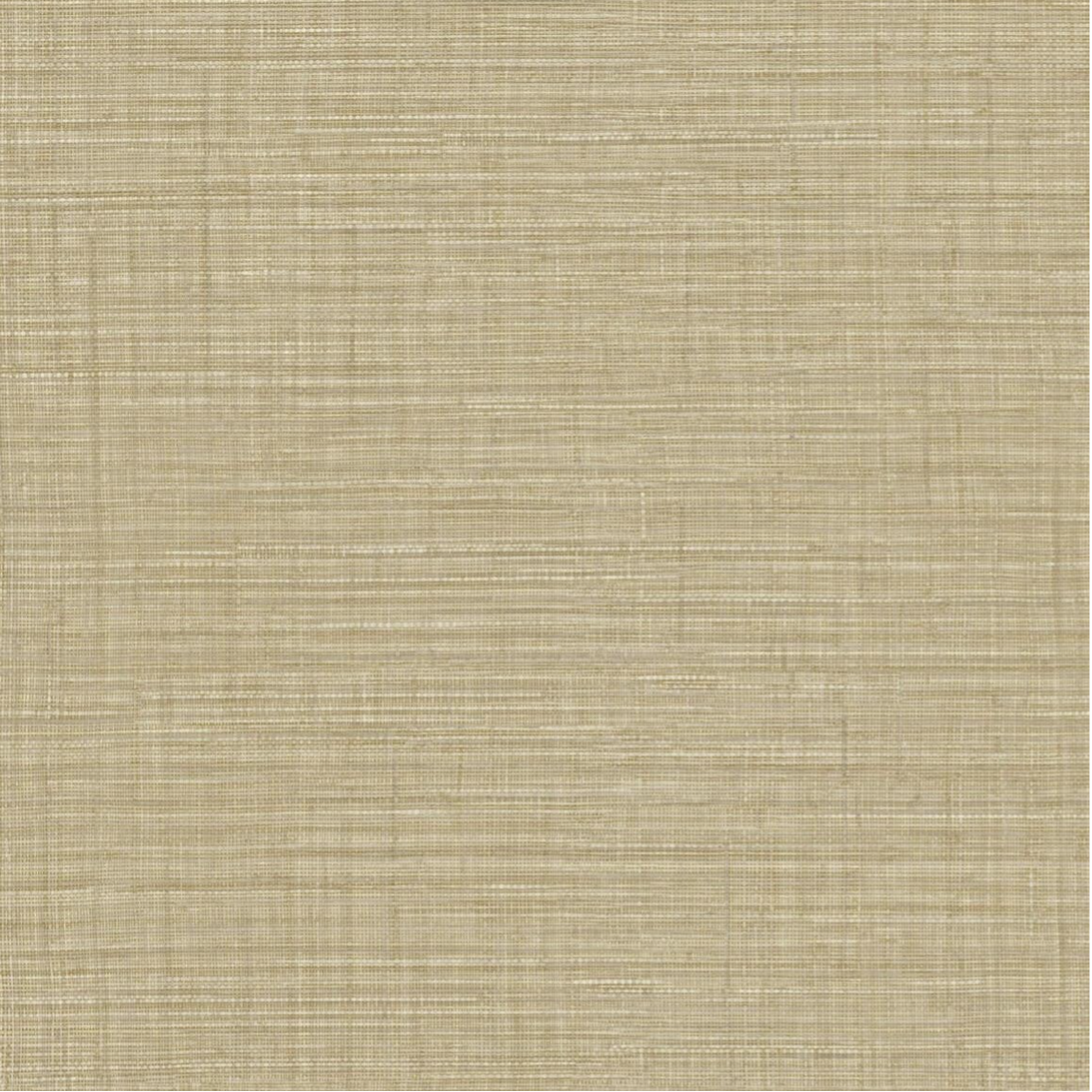 Hookedonwalls | Umami Aji 30234