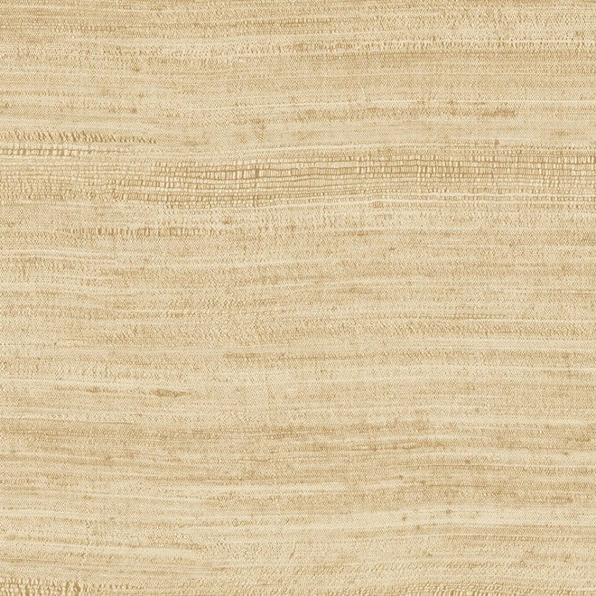 Arte Expedition | Tasar 72024