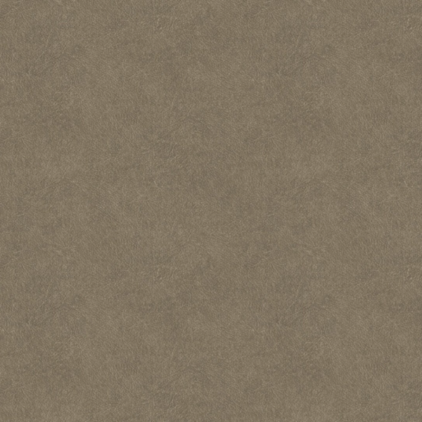 Hookedonwalls | Tahiti Leather Plain TA25024