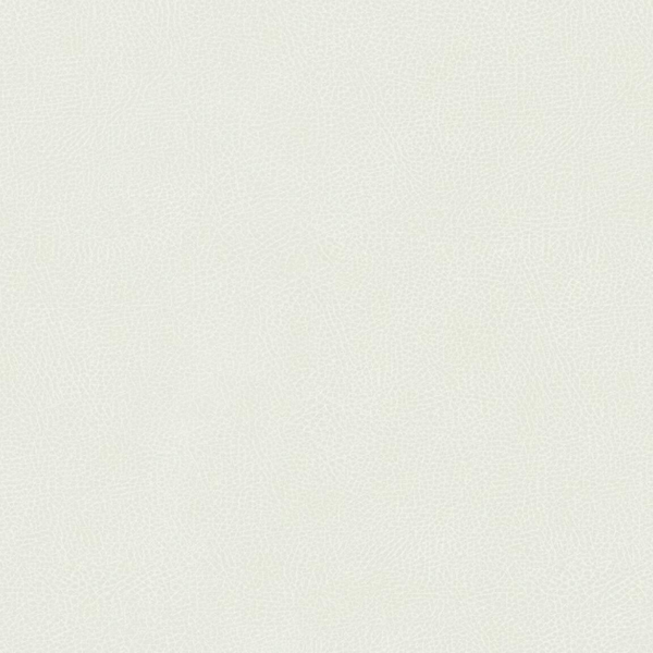 Hookedonwalls | Passe Partout Monochrome 62778