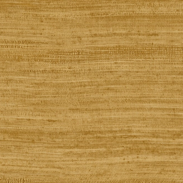 Arte Expedition | Tasar 72026