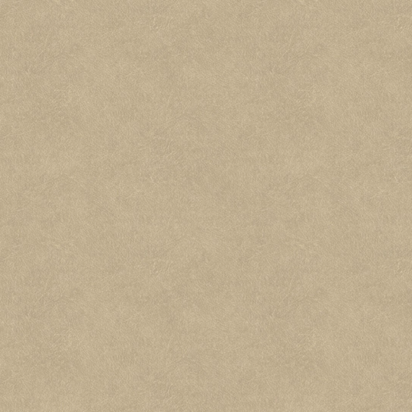 Hookedonwalls | Tahiti Leather Plain TA25021