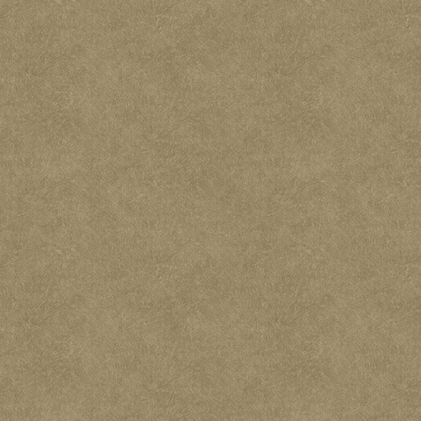 Hookedonwalls | Tahiti Leather Plain TA25022