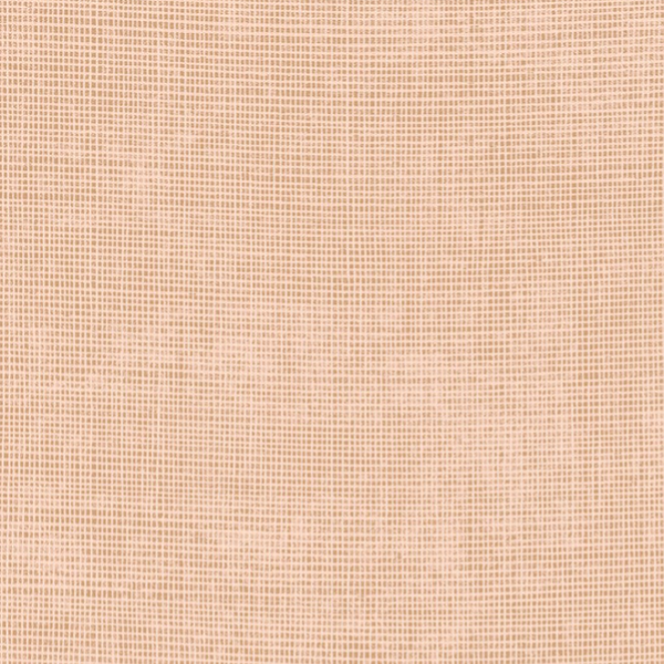 Arte Manila | Tulle 73089A Nude