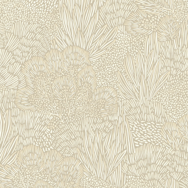 Hookedonwalls | Alegría Samba 23860