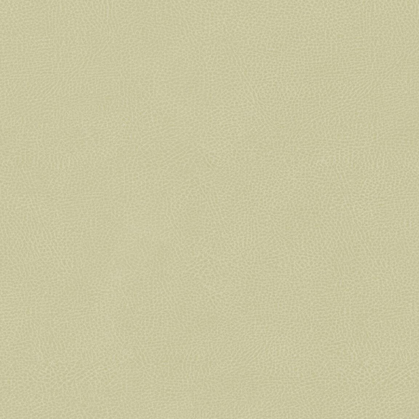 Hookedonwalls | Passe Partout Monochrome 62837