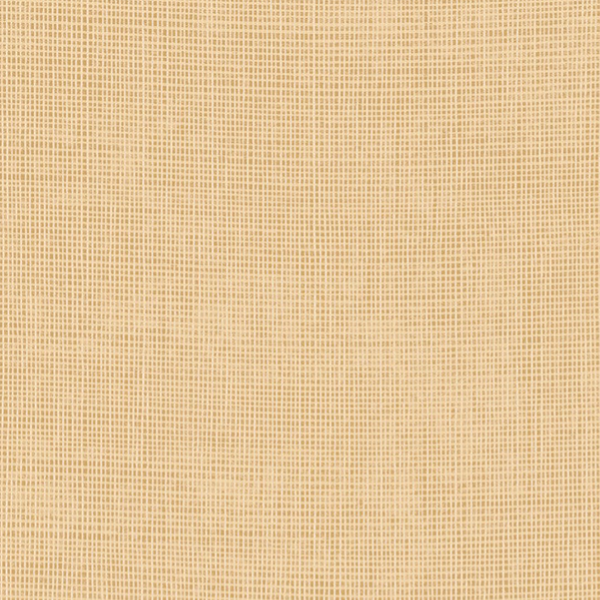 Arte Manila | Tulle 73080A Sand