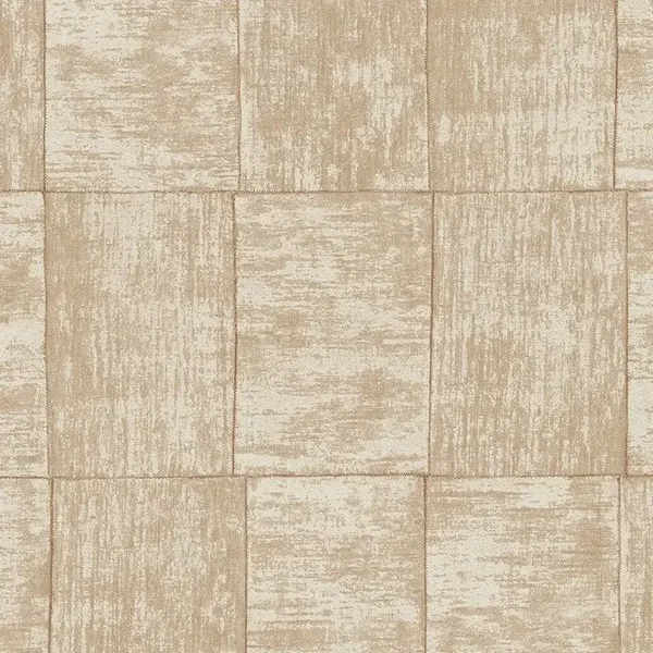 Hookedonwalls | Cabane Medinilla 20932