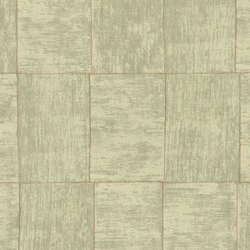 Hookedonwalls | Cabane Medinilla 20938