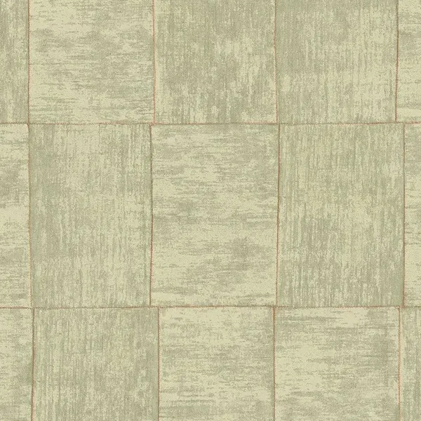 Hookedonwalls | Cabane Medinilla 20938