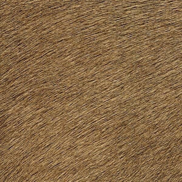 Elitis | Indomptée | Movida VP625-32