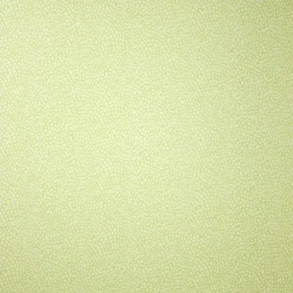 Osborne & Little Wallpaper Album 7 | Oriole W6491-05