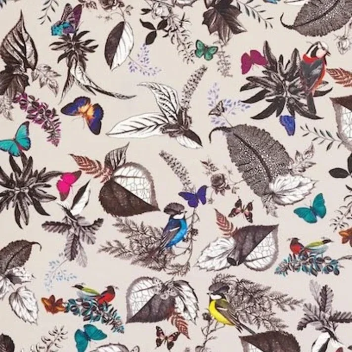 Osborne & Little Wallpaper Album 7 | Bird Song W6596-01