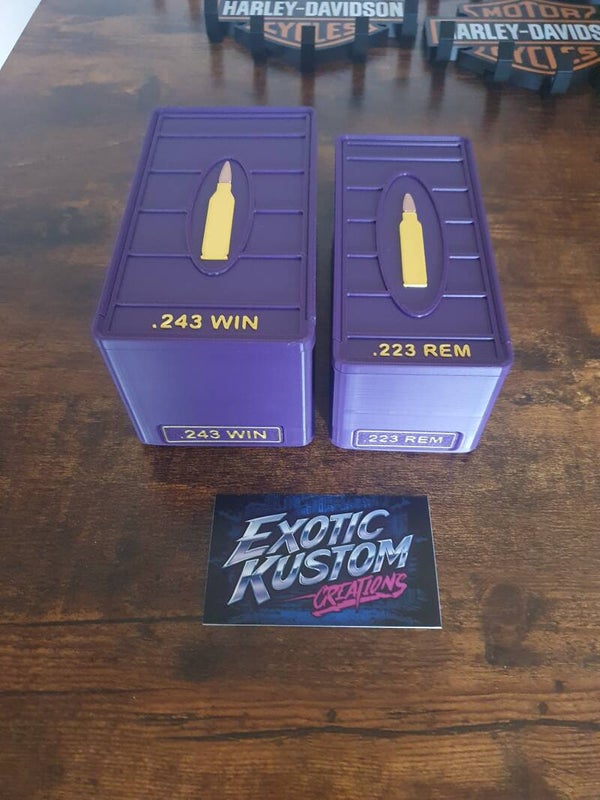 Ammo case