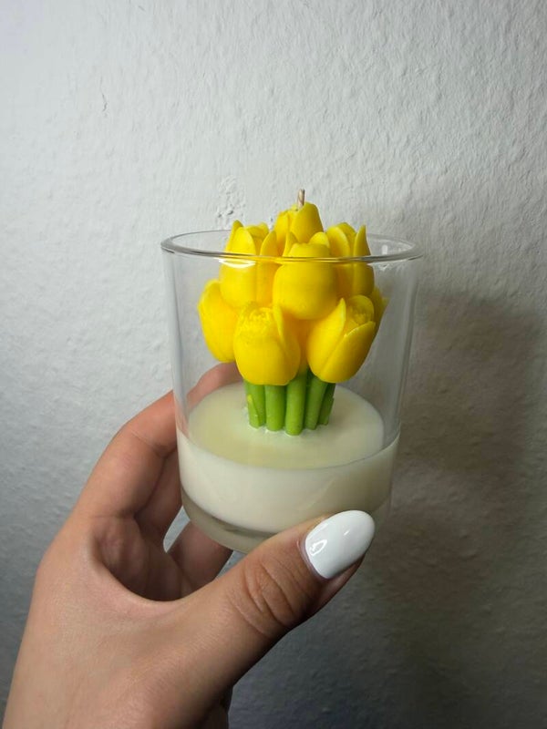 Tulpe