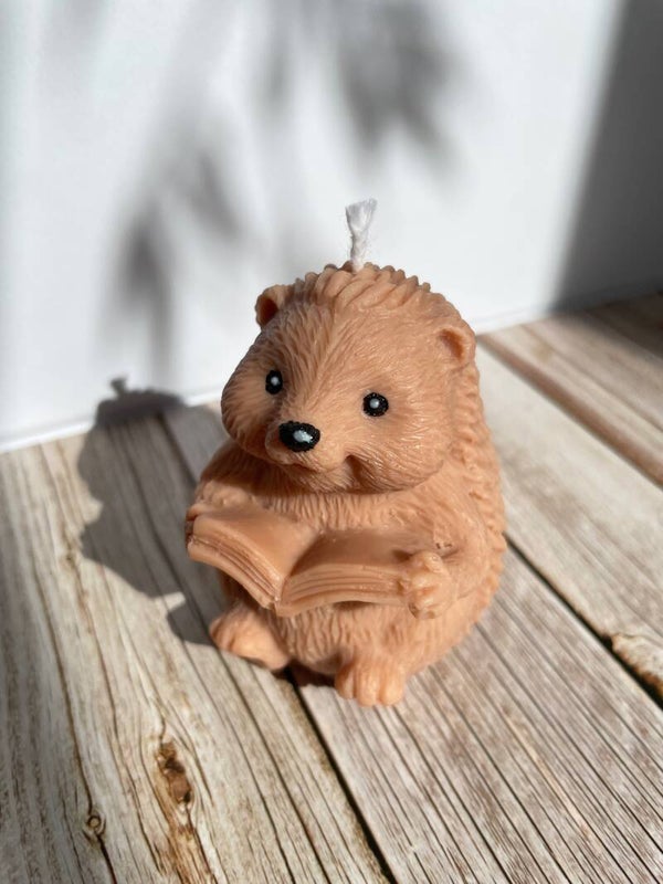 Igel mit Buch