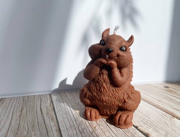 Eichhörnchen