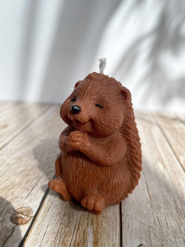 Igel