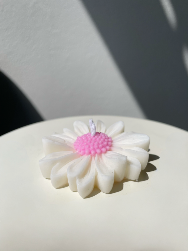 Gänseblümchen