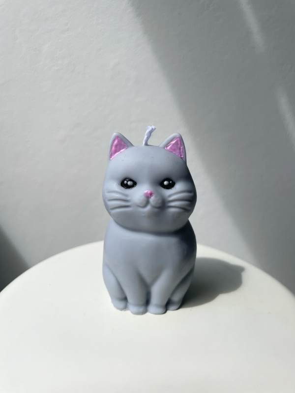 Katze