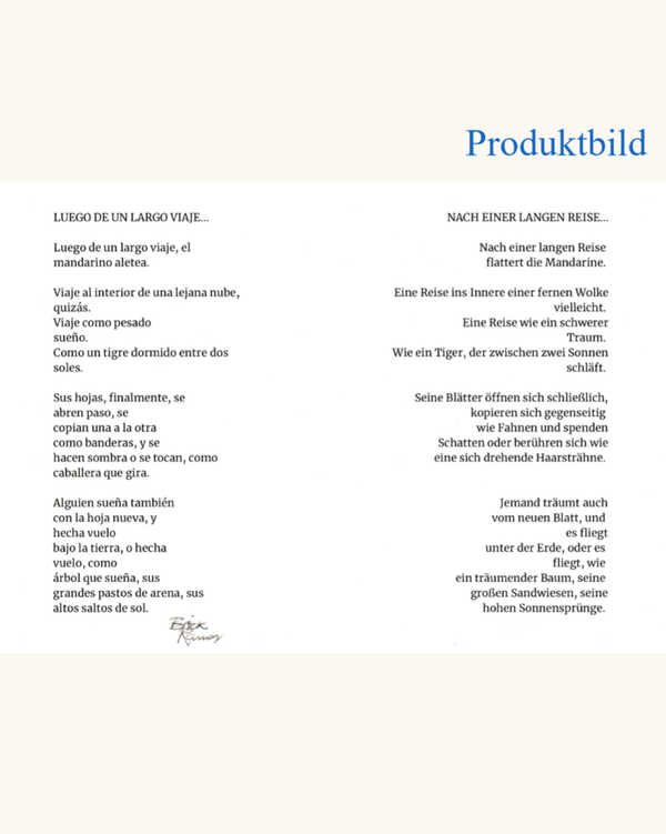 Gedicht Erick Ramos Solano