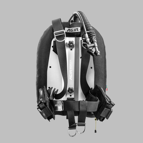 Agir blackbird wing set