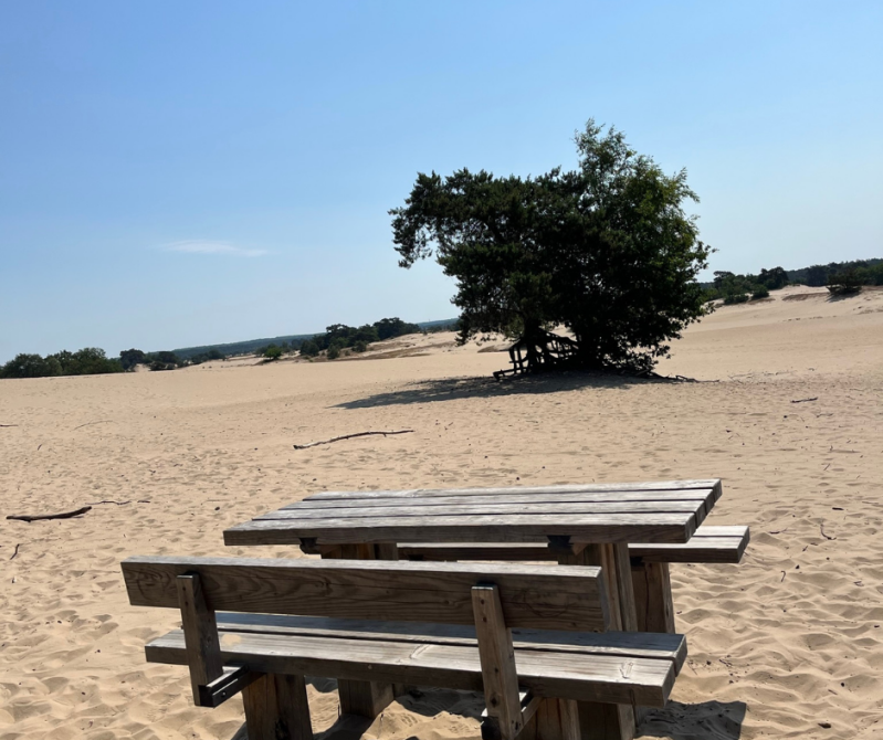 Lasergame Verhuur Harskamp Otterlo Wekerom Stroe Garderen Kootwijkerbroek Ede Lunteren (Gemeente Ede/Barneveld) Lasergamen op de veluwe  Lasergame huren Lasergamefeestje