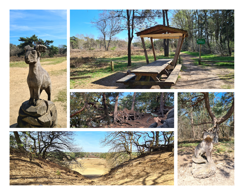 Kinderfeestje! Lasergame verhuur Harskamp/de Zanding Otterlo