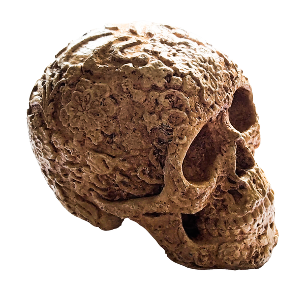 Mexicaanse Schedel 'Dag van de Doden'