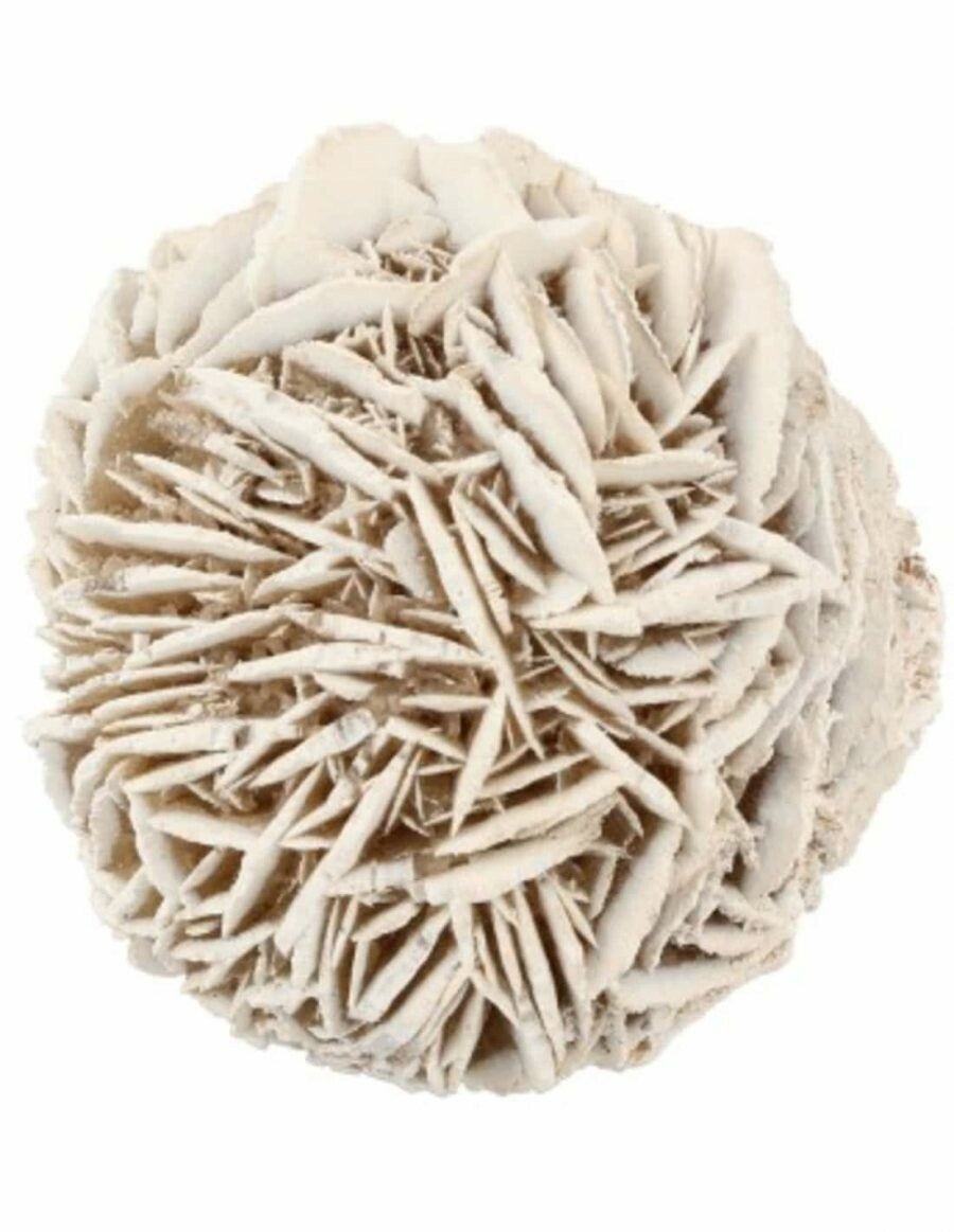 Woestijnroos 10-20gr, A kwaliteit