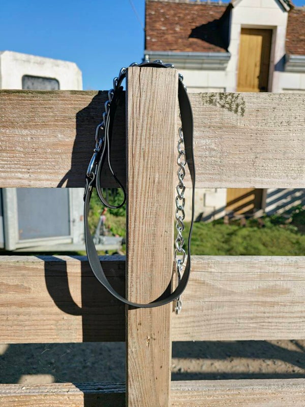 Longe de présentation