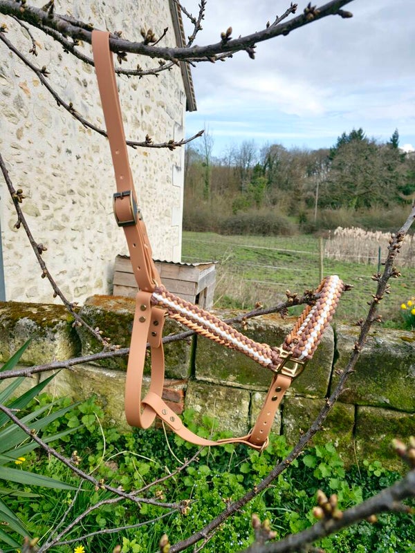 Licol taille FS système attache rapide