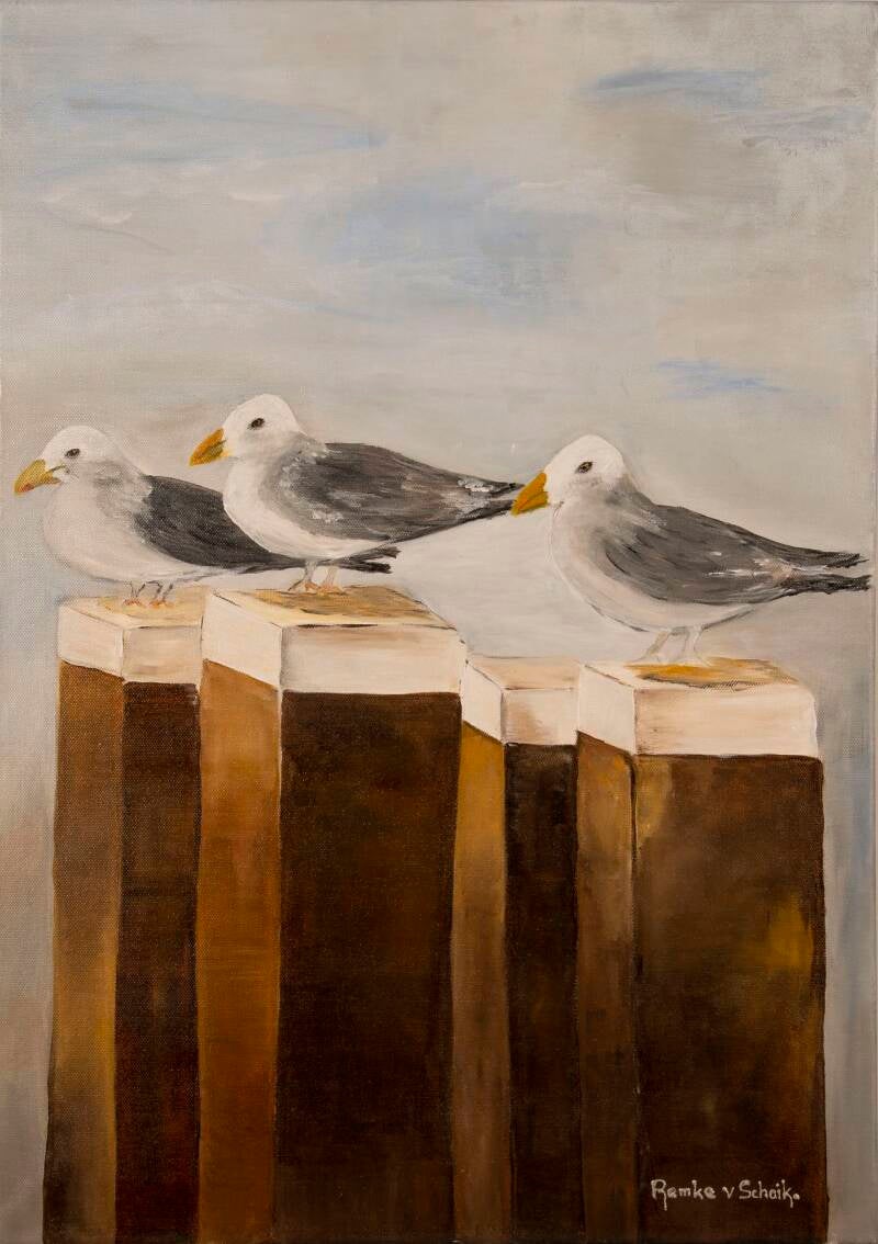 Meeuwen (50 x 50cm)