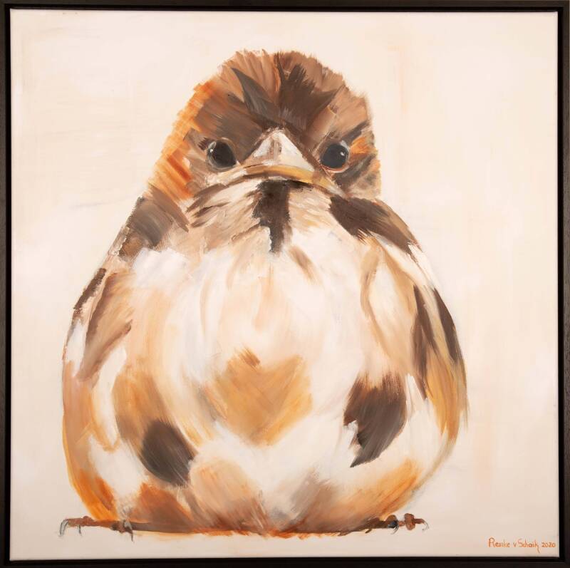 Huismus (100 x 100 cm)